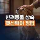 미래펫동물병원 | 반려동물 펫신탁 상속 방법 : 내가 떠나도 홀로 남을 아이를 위한 법적 보증