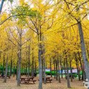 원적산공원 이미지