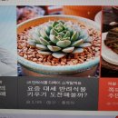 신난다다육