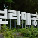 이디야보라매 이미지