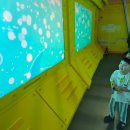 준우디자인 | 동대문 DDP 전시 아기상어 비밀초대장 관람 후기