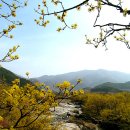 궁궐민박 이미지