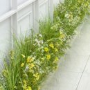 꽃길행복한그날 이미지