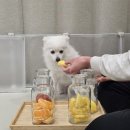 댕동댕 유치원 이미지