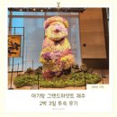 나란이 떡볶이 | [제주 아기랑]그랜드하얏트 제주 아기랑 2박3일/킹룸 시티뷰/ 대여물품 정리,녹나무, 포차 조식