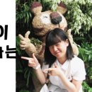 통큰닭집 이미지