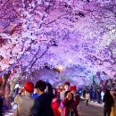 김유신장군로 이미지