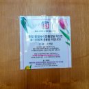 제주의 한란 | 제주여행 - 셋째 날 오후 * 1년 내내 꽃 축제가 열리는 수목원, 상효원 튤립축제 * (상효원 계절별 축제...