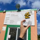 순이네야식 | 카페 투어✨ 소금바치순이네·코코나라·지미스땅콩아이스크림·우도땅콩막걸리카페펍·탐라수산·운치 후기