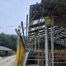 용인한우농장 이미지