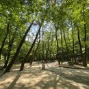 치인 야영장 이미지