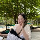 선트리레스토랑 | 코사무이 반얀트리 레스토랑 해안가식당 샌즈 / 룸서비스 샤프론 / 조식뷔페 엣지 이용후기