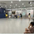 강한아이태권도 이미지