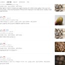 포슬 | 강원도노지 분감자 설봉 두백감자10키로 하지감자 포슬 100% 리얼 후기 정리