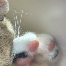 김민서치과의원 이미지