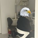 글라스 스타안경 | 천안젠틀몬스터 매장 글라스스타 천안아산점 천안 안경 성지 방문기