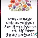 여행모드
