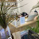 수지플라워 이미지