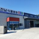 전남식물병원 네이버블로그