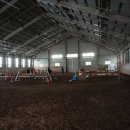 말보르승마장 이미지