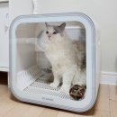 드라이37 이미지