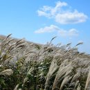 근화당약국 이미지