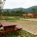 강원오토 이미지