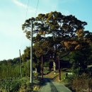 한산향교 이미지