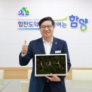 한국명품산삼 이미지
