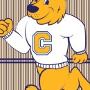 컬쳐드 크로스핏 이미지