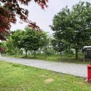 웅포곰개나루 | 익산 웅포곰개나루캠핑장에서 전북캠핑클럽 정기캠핑 후기