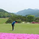 블랙스톤벨포레 루지하우스 이미지