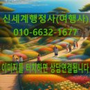 신세계 행정사 여행사 이미지