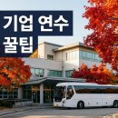 대신기업(주) 건천지점 | 가을 기업 연수 어디로 갈까, 연수원·리조트·제주 장소 비교와 담당자 준비 체크포인트