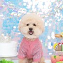 플러피 스튜디오 이미지