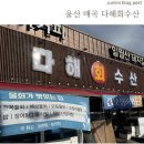 다해회수산