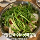 버섯이랑 칼국수랑 | 여의도 맛집 <가양칼국수버섯매운탕> 무한 미나리 샤브샤브후기 웨이