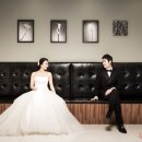 위플스튜디오 네이버블로그