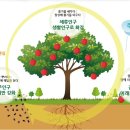 한국도시건설