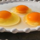 등고개2 이미지