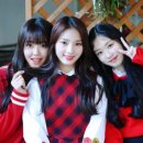 인터메리 이미지