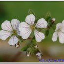 달맞이팬션 이미지