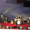 낭만왈왈이 이미지