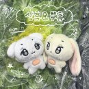 코인뮤직뱅크 | 매일 도서관가는 사람 제가 해보겠습니다