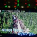 파랑새노래연습장 이미지