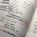 부산외국어대학교 산업경영대학원 | 부산외대 필라테스재활학과 석사 합격 후기 #대학원 #면접 #꿀팁