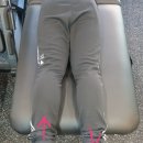 택짐피티샵 이미지