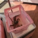 지에스(GS)25부천옥길점 이미지