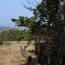 항몽유적지 이미지