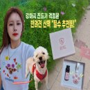 주식회사 멍시태그 | 강아지 진드기 예방템 멍가드 사용후기